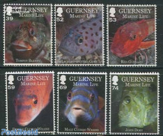 Guernsey 2013 Marine Life 6v, Mint NH, Nature - Fish - Vissen