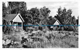 R087526 Gyllene Uttern. Smastugor. Hovfoto. 1967 - World