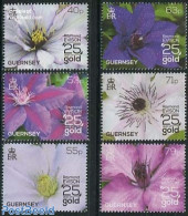 Guernsey 2013 Raymond Evision 25 Years Of Gold 6v, Mint NH, Nature - Flowers & Plants - Guernsey