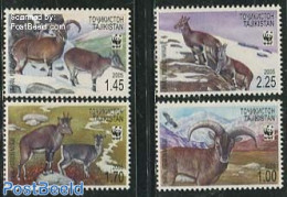 Tajikistan 2005 WWF, Animals 4v, Mint NH, Nature - Animals (others & Mixed) - World Wildlife Fund (WWF) - Tagikistan