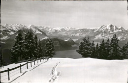 11353633 Rigi Kaltbad Blick Vom Rigi Auf Berner Alpen Und Pilatus Vierwaldstaett - Andere & Zonder Classificatie