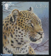 Guernsey 2009 Endangered Species 1v, Leopard, Mint NH, Nature - Cat Family - Guernesey