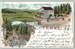 13434108 - Tenne , Taunus - Andere & Zonder Classificatie