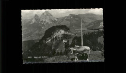 11353593 Stoos SZ Panorama Mit Mythen Gipfelkreuz Kuh Betruf Stoos - Autres & Non Classés