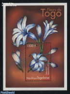 Togo 2000 Agapanthus Africanus S/s, Mint NH, Nature - Flowers & Plants - Togo (1960-...)