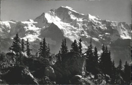 11353494 Schynige Platte Blick Auf Jungfrau Berner Alpen Schynige Platte - Other & Unclassified