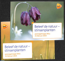 Netherlands 2019 Nature, Presentation Pack 591a+b, Mint NH, Nature - Flowers & Plants - Neufs