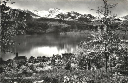 11353400 Gersau Vierwaldstaettersee Blick Ueber Vierwaldstaettersee Baumbluete G - Altri & Non Classificati