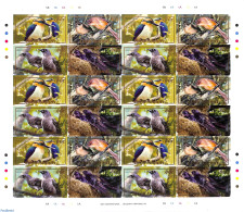 Cook Islands 2007 Complete Rare Imperforated Sheet, Birds, Mint NH, Nature - Birds - Autres & Non Classés