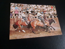 BELLE CARTE ...RODEO A LA CHILENA ...CHILI - Horses