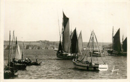 29* DOUARNENEZ  Le Port  (CPSM 9x14cm)   RL23,0318 - Douarnenez