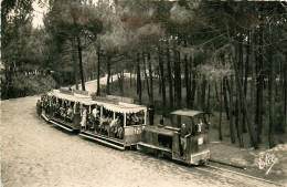 33* CAP FERRET  Le Petit Train  (CPSM 9x14cm)         RL23,1087 - Andere & Zonder Classificatie