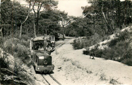 33* CAP FERRET  Le Petit Train   (CPSM 9x14cm)      RL23,0887 - Andere & Zonder Classificatie