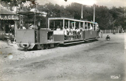 33* CAP FERRET  Le Petit Train  (CPSM 9x14cm)    RL23,0860 - Autres & Non Classés