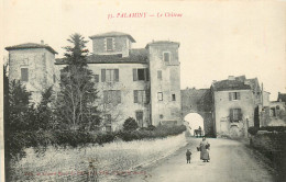 32* PALAMINY Le Chateau      RL23,0731 - Sonstige & Ohne Zuordnung