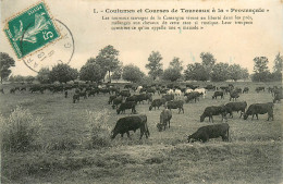 30* GARD  Taureaux Sauvages A La « provencale »       RL23,0624 - Otros & Sin Clasificación