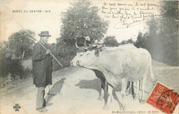 36* BERRY   En Bourbonnais  Retour De Foire  Bufs     RL23,1424 - Otros & Sin Clasificación