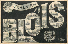 41* BLOIS  Souvenir  Multi Vues       RL23,2022 - Blois