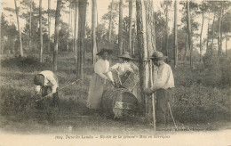 40* LANDES  Recolte De La Gemme  Mise En Barrique   RL23,2004 - Otros & Sin Clasificación