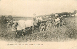 40* LANDES Attela Landais Dans Les Plaines De La Chalosse  (pli Bas Droit)      RL23,1981 - Autres & Non Classés