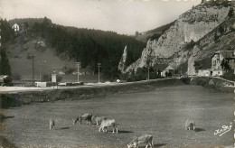 38* VILLARD DE LANS  Route De Ponts En Royans  (CPSM 9x14cm)     RL23,1797 - Villard-de-Lans