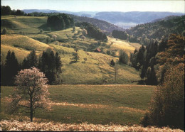 11337598 Zuerichberg ZH Panorama Zuercher Oberland Bei Sitzberg Zuerichberg ZH - Autres & Non Classés