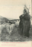 66* PYRENEES  Berger Du Canigou Et Son Troupeau         RL35.0708 - Crías