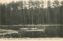 72* BERCE  Chasse A Courre  - Le Cerf A L Etang        RL35.1225 - Chasse