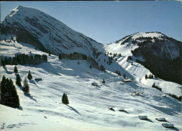 11337443 Diemtigen Skizentrum Am Wiriehorn Mit Berghaus Nuegg Diemtigen - Otros & Sin Clasificación