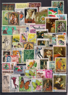 50 TIMBRES   BURUNDI     OBLITERES  TOUS DIFFERENTS - Collections (without Album)
