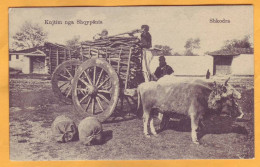 Albania, Shkodra, Austro-Hungarian Military Occupation, National Costumes, Panorama. Field Post. - Albanie