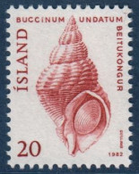 ISLANDIA 1982 - ICELAND - CONCHA CARACOLA - YVERT 529** - Nuevos