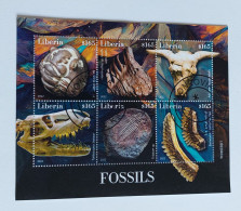 N° 7405 à 7410       Les Fossiles   -  Oblitérés - Liberia