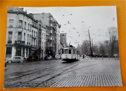 ANTWERPEN  -  Koning Albertpark  - Tramway 1957  -  Foto  J. Bazin  (15 X 10.5 Cm) - Strassenbahnen