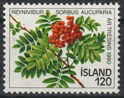 ISLANDIA 1980 - ICELAND - AÑO DEL ARBOL - SORBUS AUCUPARIA - YVERT 507** - Obst & Früchte