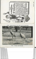 CHROMOS. Les LITHINES.  Dr GUSTIN.  Pard Zoologique Du Bois De Vincennes (Grues De Paradis). ..I 462 - Andere & Zonder Classificatie