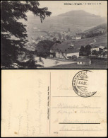 Ansichtskarte Geising-Altenberg (Erzgebirge) Stadtpartie - Restaurant 1927 - Geising