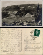 Postcard Krummhübel Karpacz Schlingelbaude - Fotokarte 1931 - Schlesien
