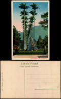 Postcard Rio De Janeiro Jardim Botanico 1928 - Rio De Janeiro