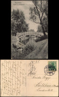 Ansichtskarte Werder-Magdeburg Frau Im Kanu, Brücke Im Stadtpark 1913 - Other & Unclassified