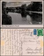 Ansichtskarte Hamm (Westfalen) Karpfenteich Im Kurpark, Schwäne 1953/1938 - Hamm