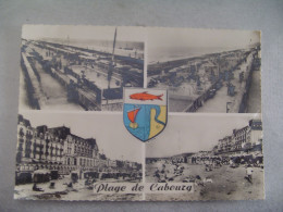 D 14 - Plage De Cabourg - Cabourg