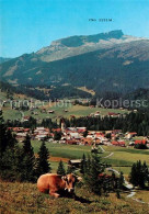 72929286 Riezlern Kleinwalsertal Vorarlberg Ifen Kuh Mittelberg - Other & Unclassified