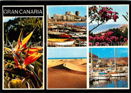 72927683 Gran Canaria Diversos Aspecto Blumen Hafen Fischerboote Wuestenlandscha - Other & Unclassified