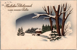 A8736 - Litho Glückwunschkarte Neujahr - Winterlandschaft - New Year