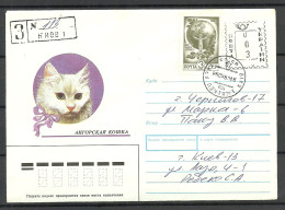 UKRAINE UKRAINA 1993 Registered Cover O Kiev Mixed Franking With Soviet Stamp - Ukraine