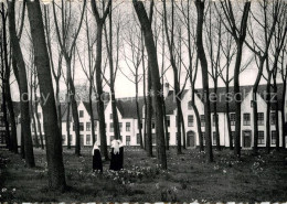 72926856 Bruges Flandre Enclos De La Vigne  - Sonstige & Ohne Zuordnung