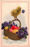 G3041 - Litho Glückwunschkarte Ostern - Kücken Osterei - Mariakerke - Pascua