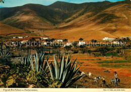 72926230 Fuerteventura Vega De Rio Palmas Fuerteventura - Other & Unclassified