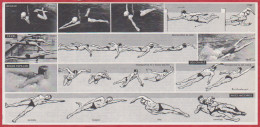 Natation. Nage. Illustration Paul Order. Larousse 1960. - Documents Historiques